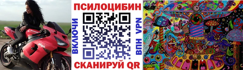 где найти наркотики omg сайт Псилоцибиновые грибы Psilocybine cubensis Нерчинск